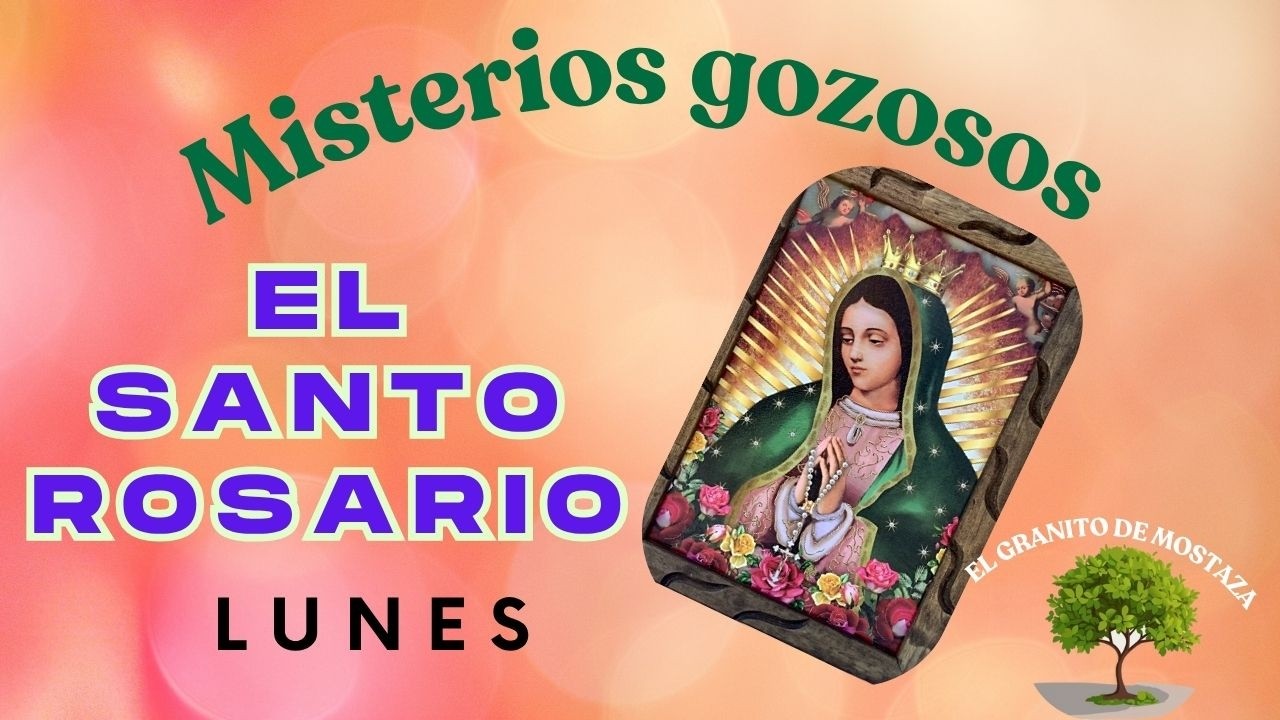 SANTO ROSARIO,MISTERIOS DE GOZO. LUNES 9 DE MARZO.