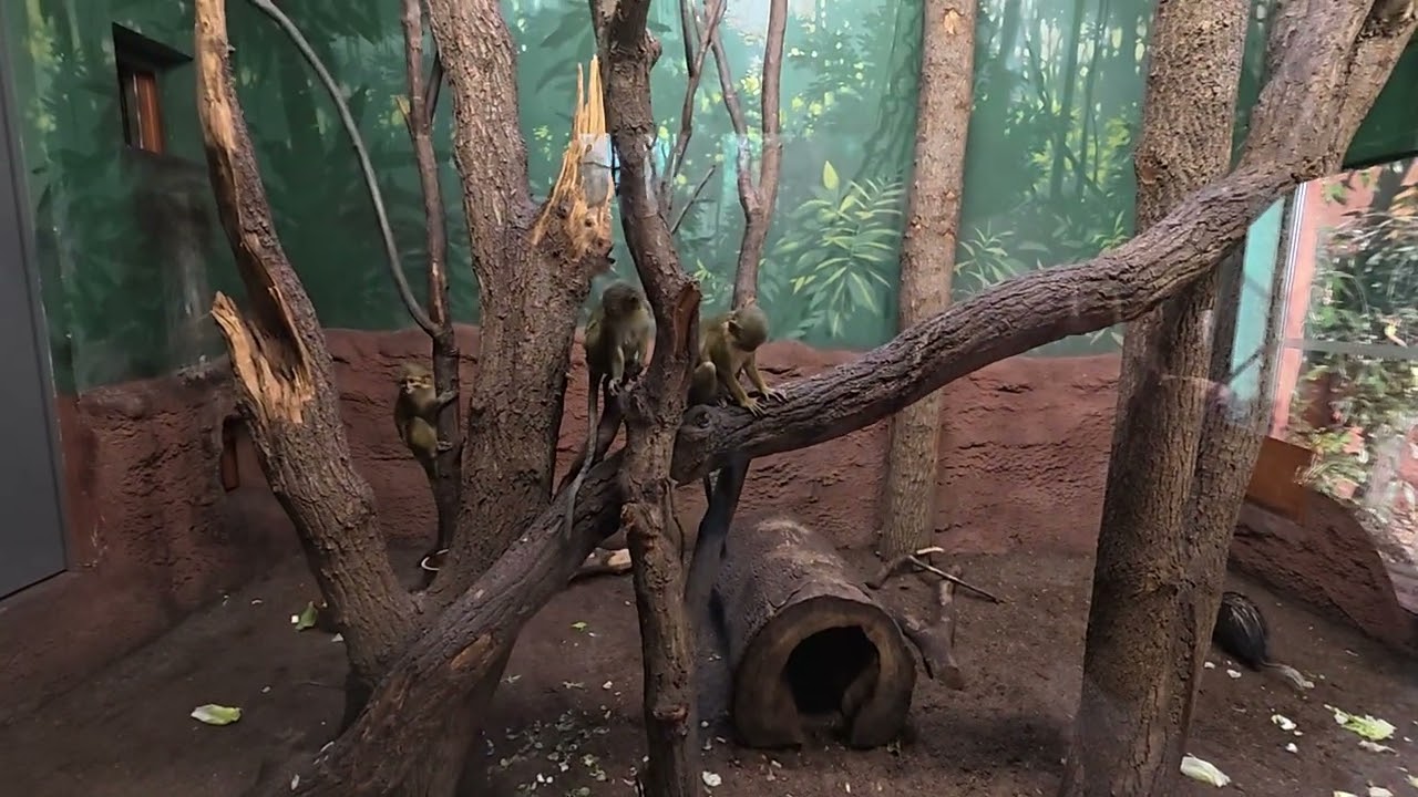 ZOO PRAHA