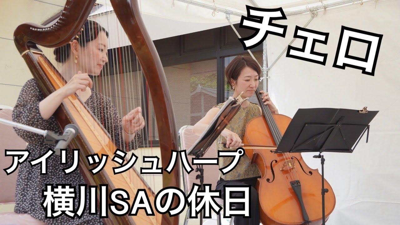 横川サービスエリア〜チェロとアイリッシュハープの休日〜