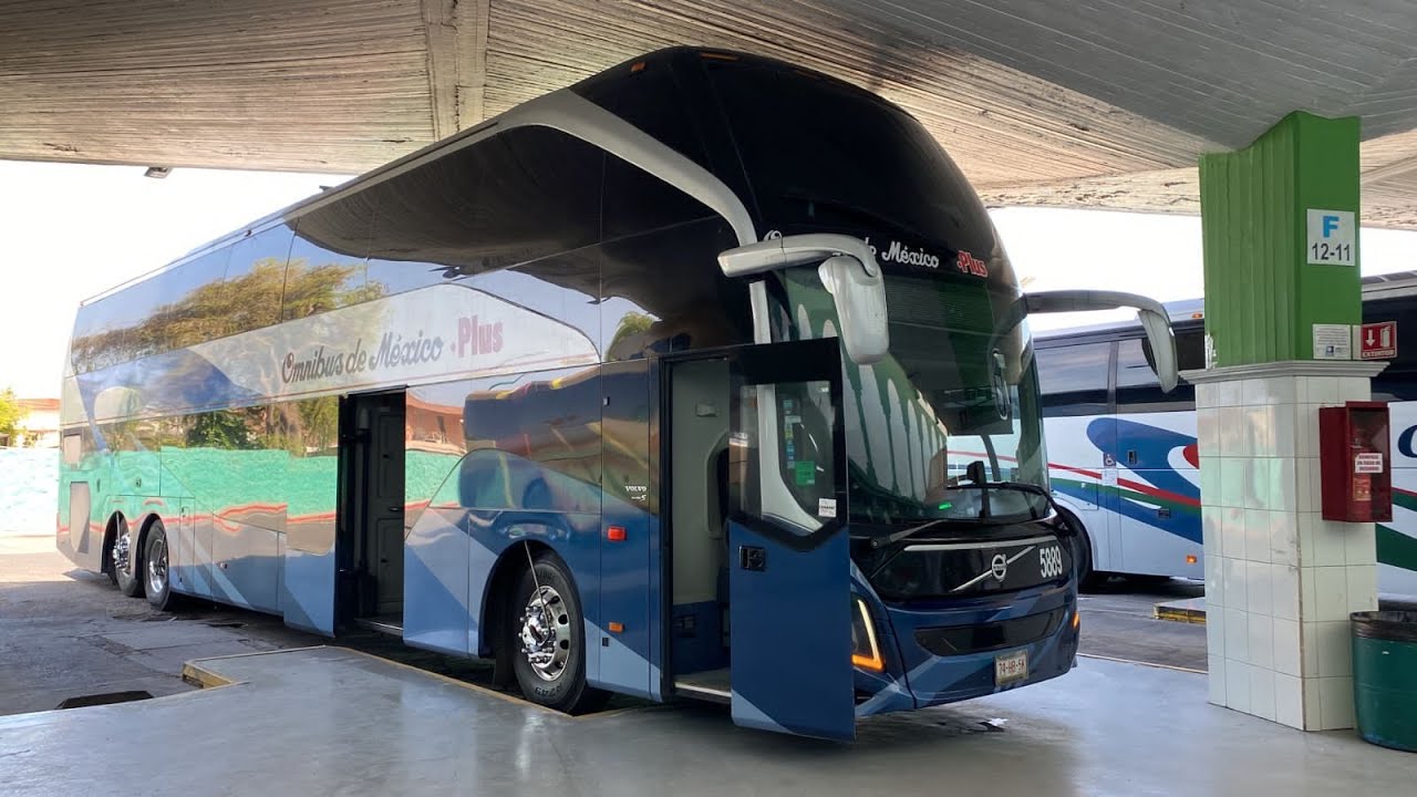 Conductor Apasionado de Nuevo ingresó a Ómnibus de Mexico.