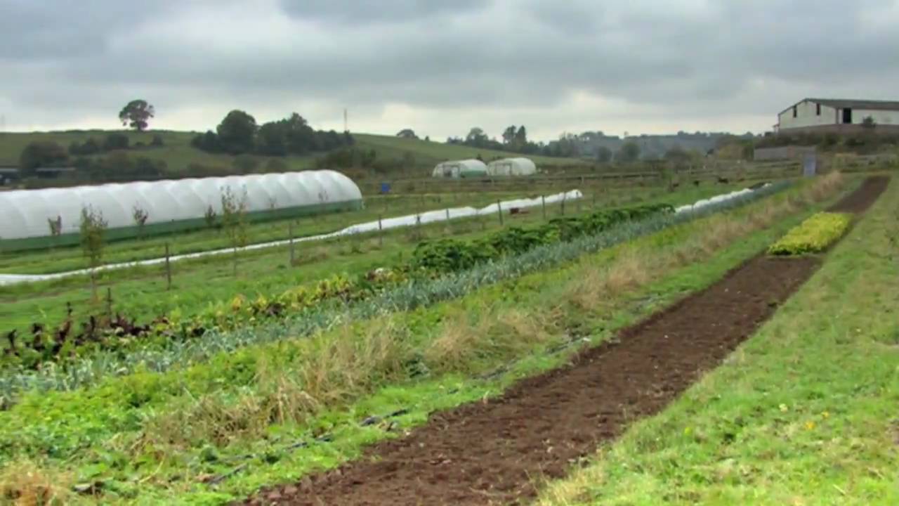 Ruskin Vale Organics