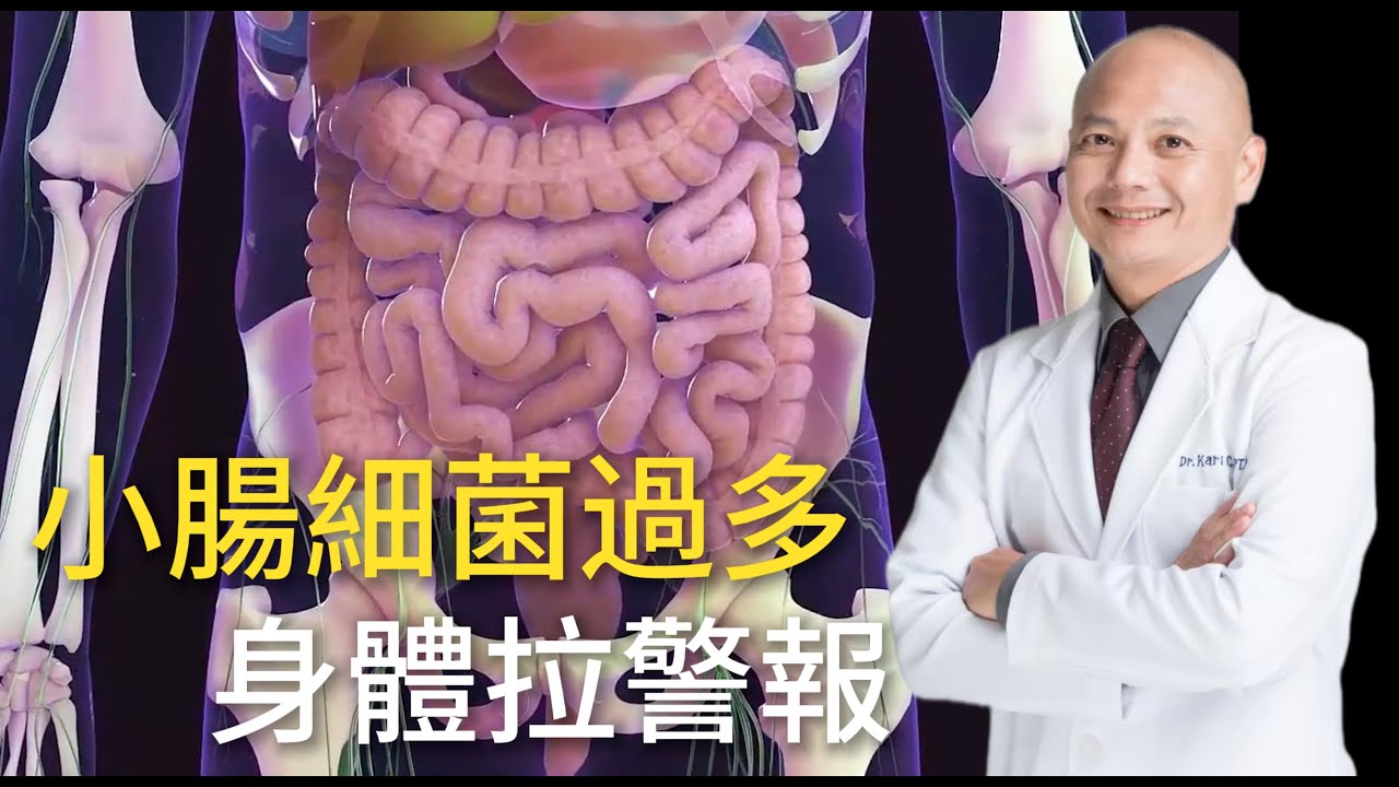 小腸出問題，全身都發炎⁉️小腸細菌增生的成因與改善方法