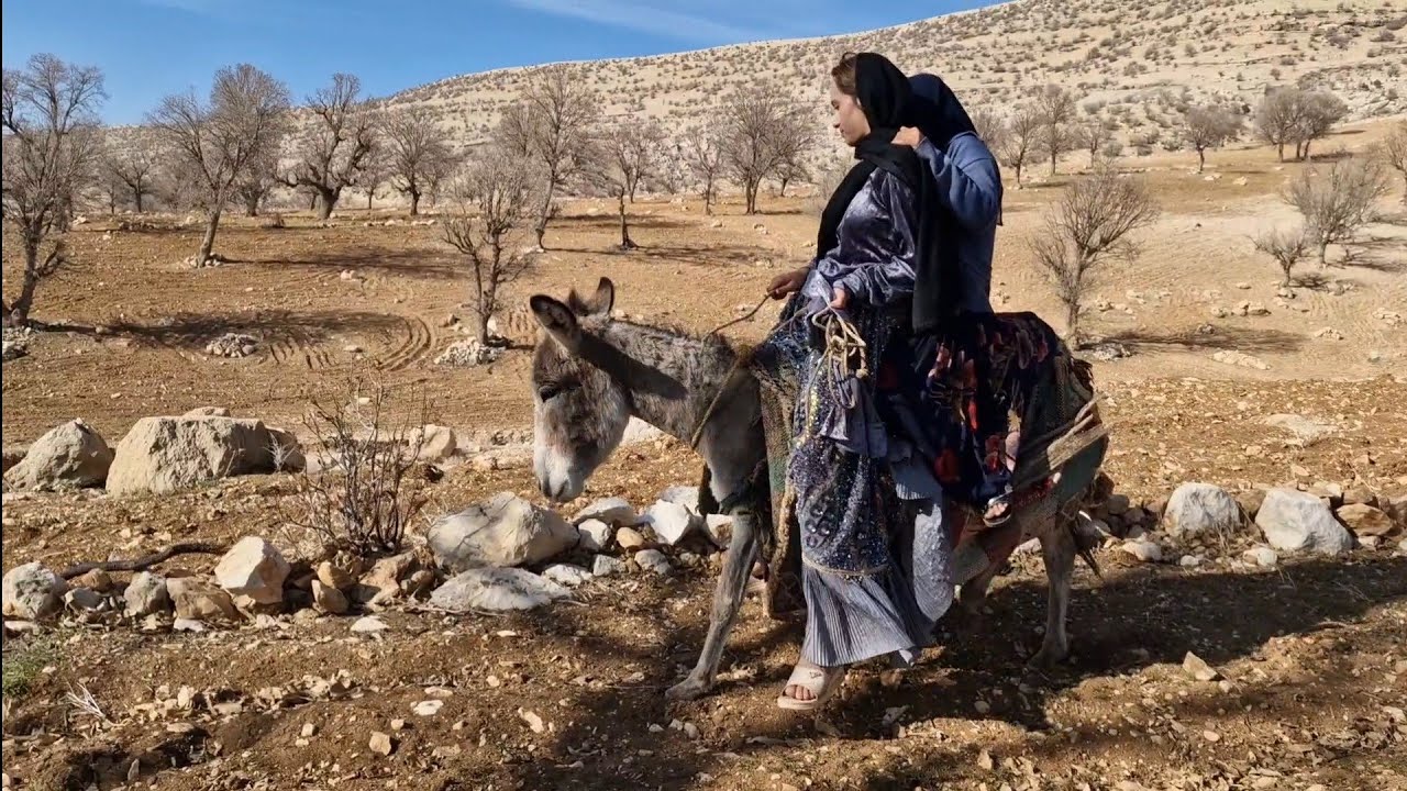 Donkey Riding Challenge for Two: Firewood Collection in the Mountains! 🐴🌲🔥