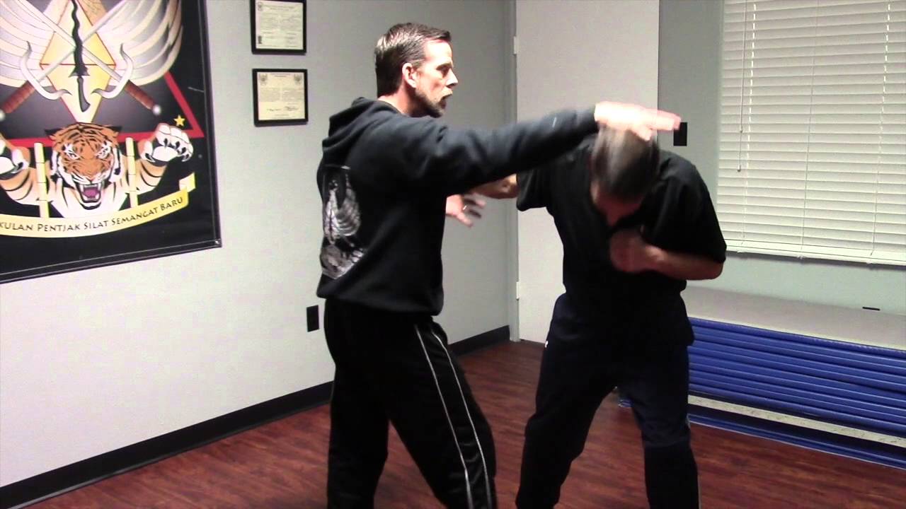 Silat V Log 12 2015 | Kuno Martial Arts Academy