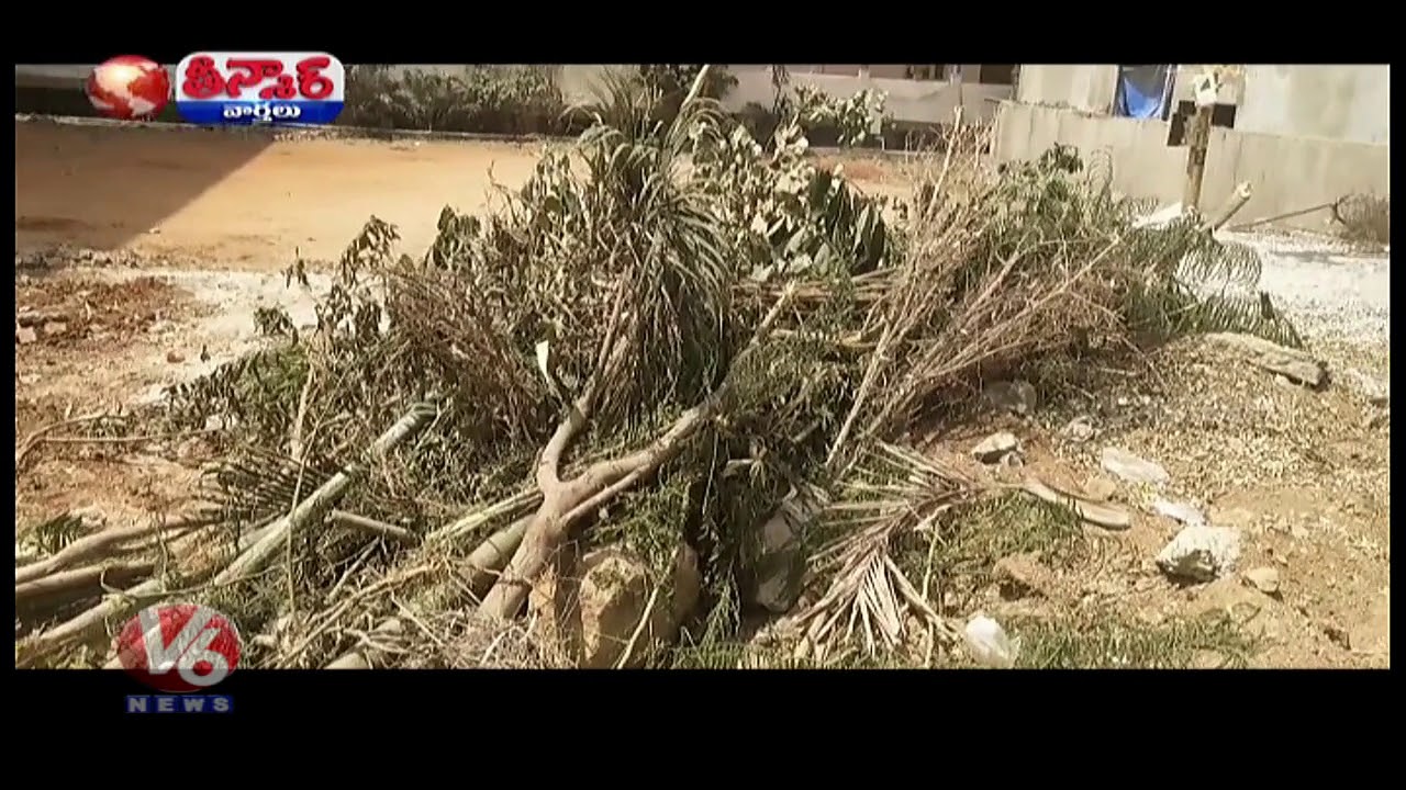 Punishment For Plucking Plants In Bachupally | Haritha Haram Plants | Teenmaar News | V6 News