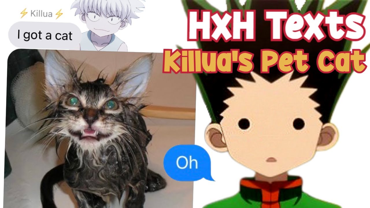 HxH Texts - Killua's Pet Cat