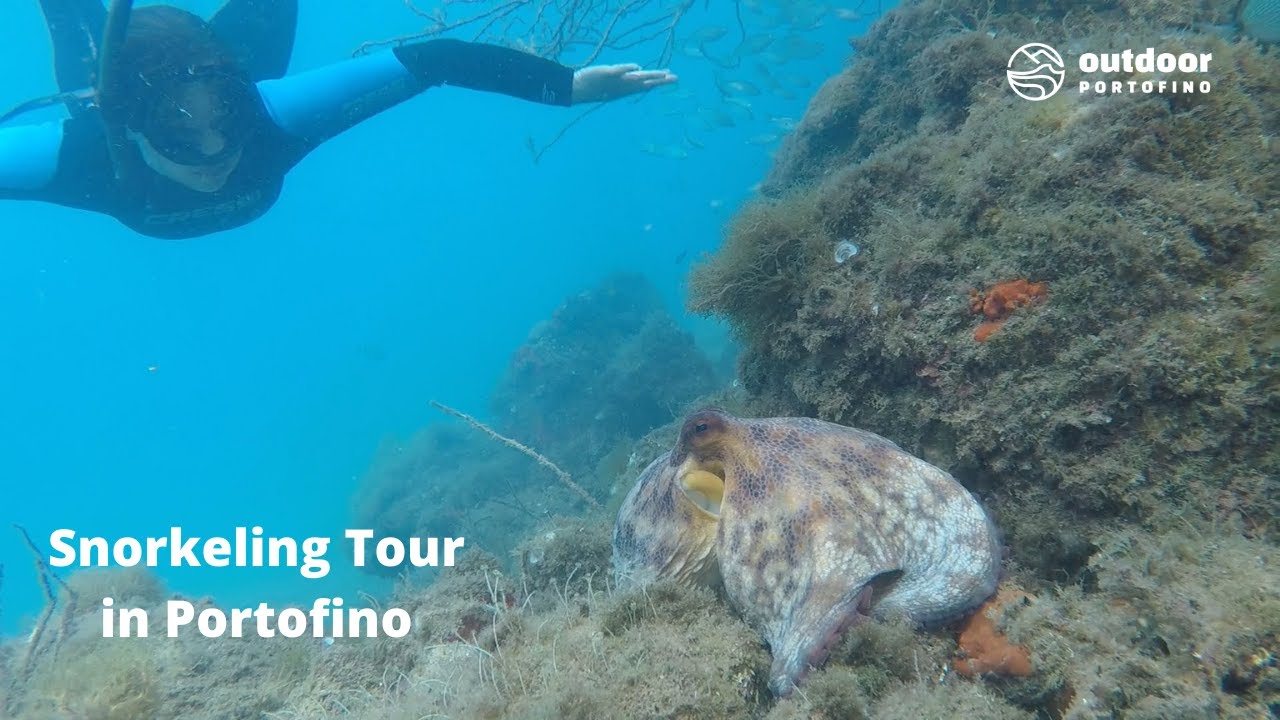 Best Snorkeling Tour in Portofino - Baia di Paraggi -