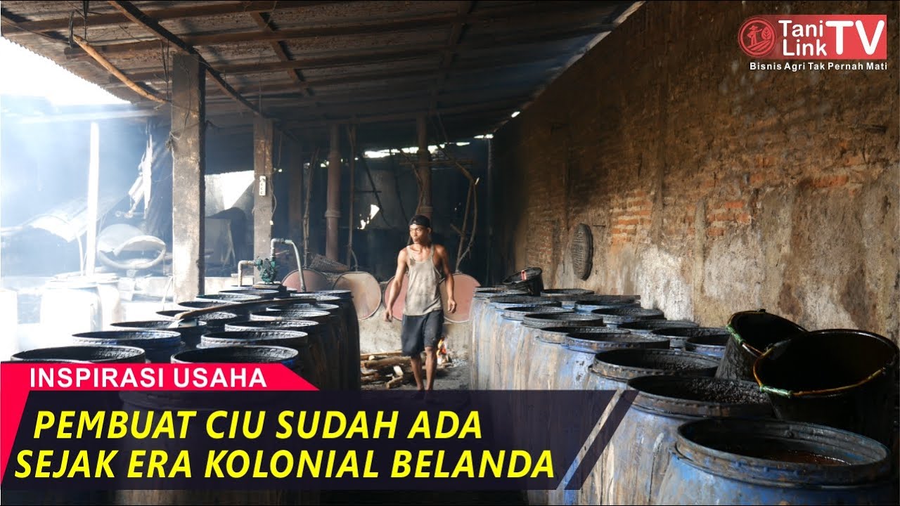 Minuman Tradisional Ciu diolah Menjadi Alkohol