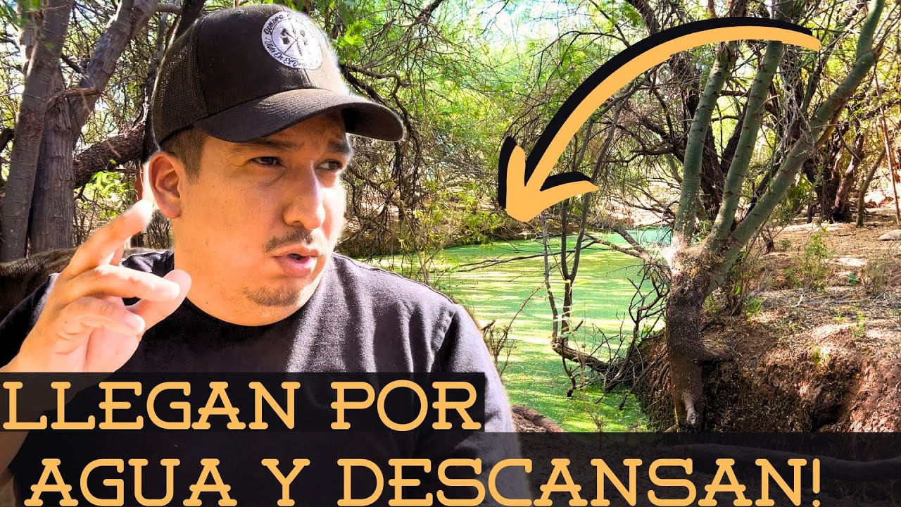 AQUI LLEGAN POR AGUA Y DESCANSAN! || Supervivencia Sonora