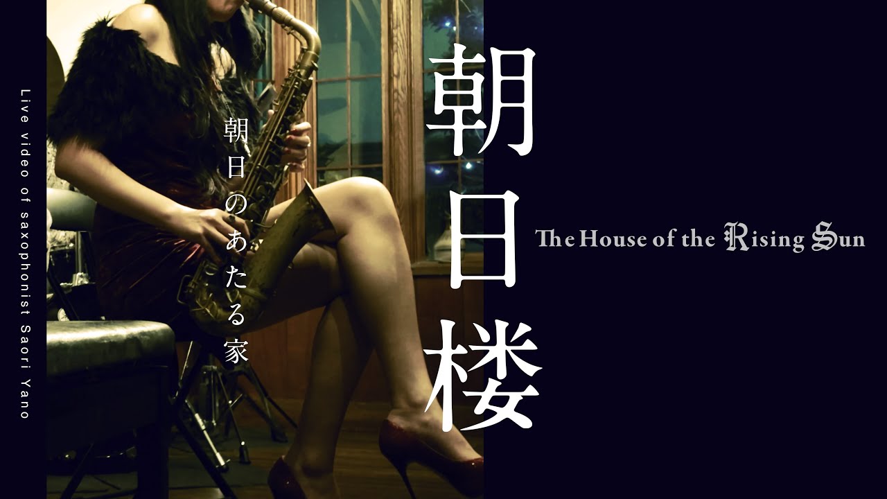 矢野沙織 - The House of the Rising Sun 〜朝日楼〜( Live Video )