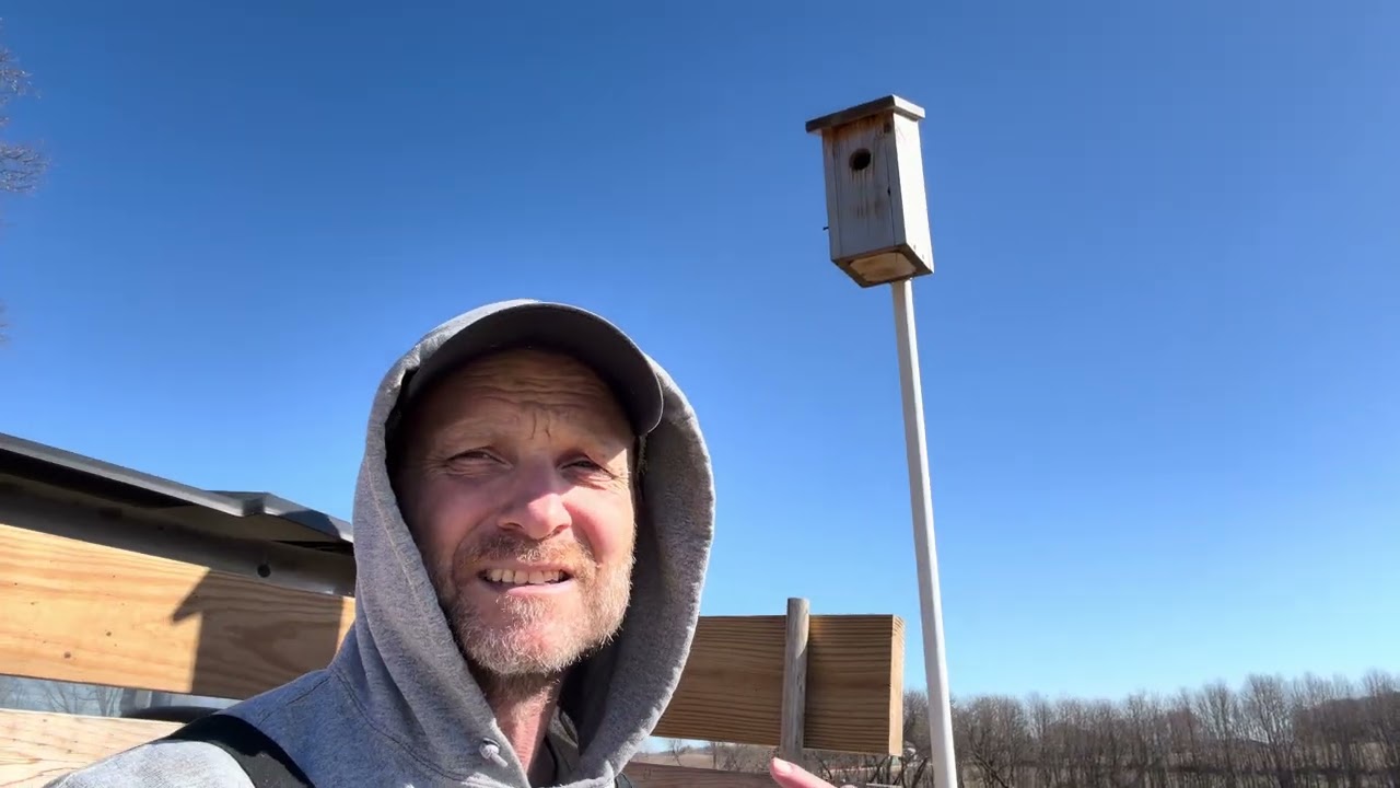 Talking Birdhouses and Rotten Sparrows!