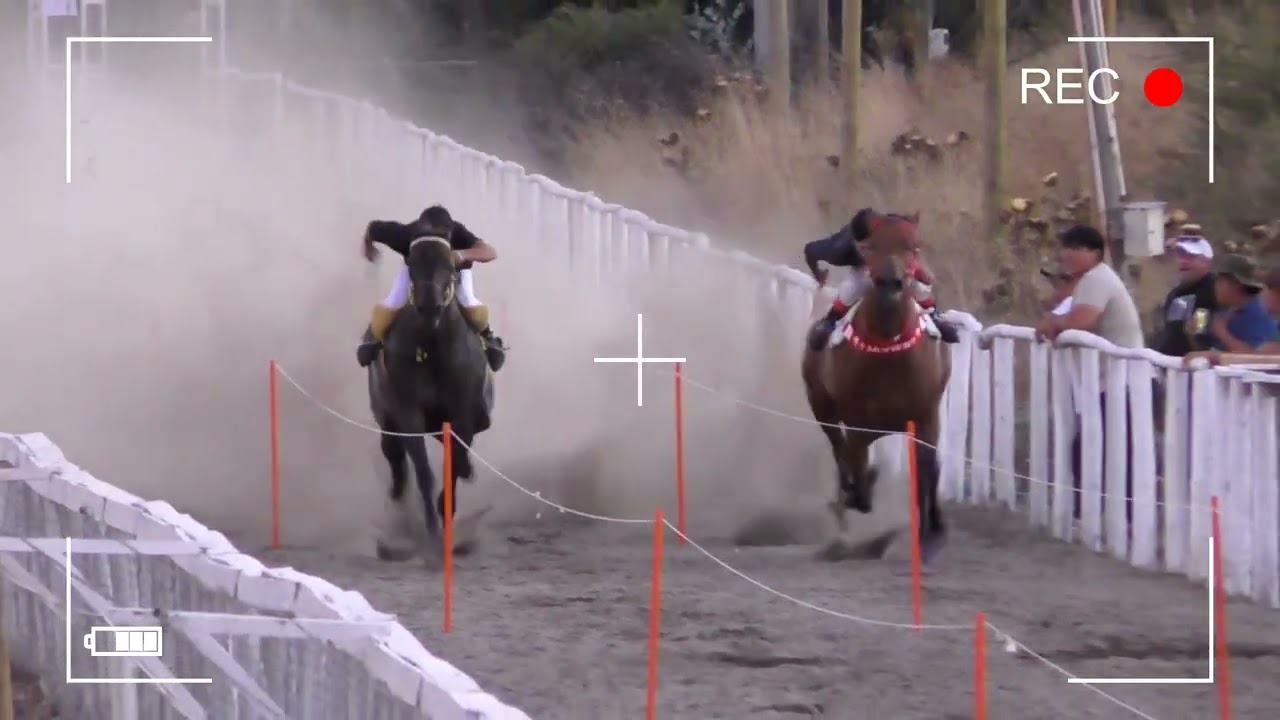 Gata Negra vs Marea
