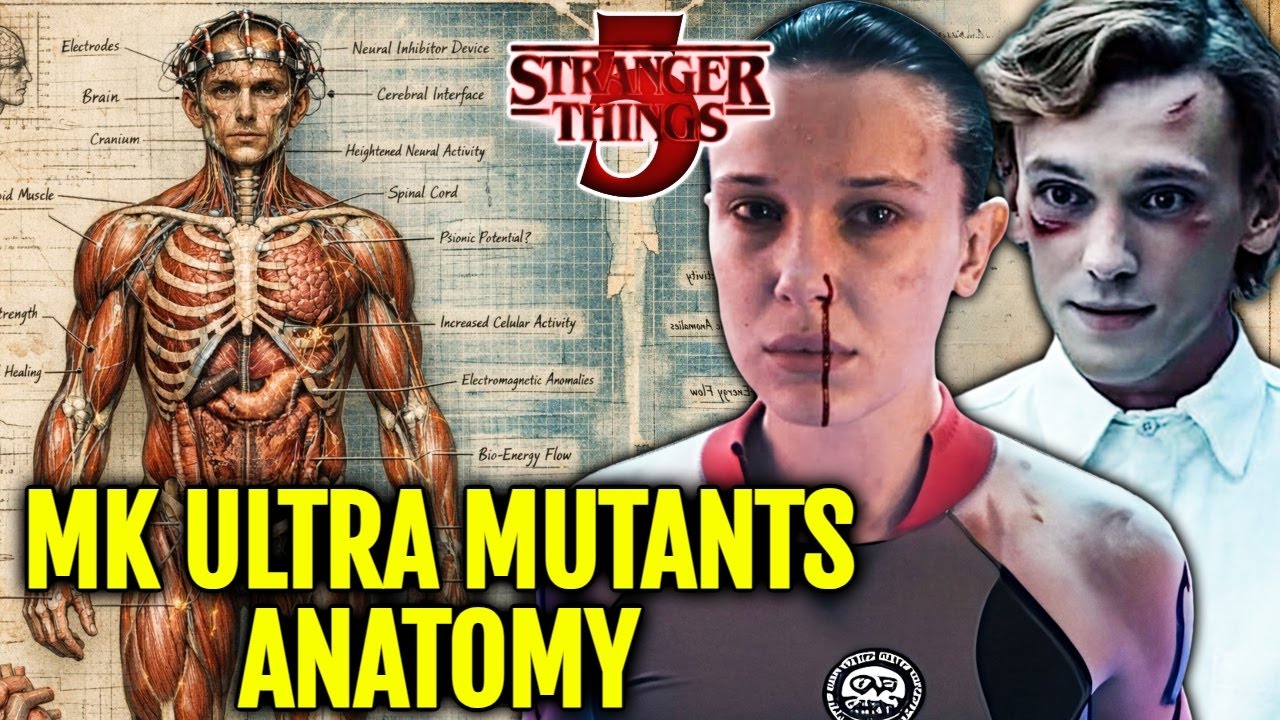 MK Ultra Mutants Anatomy - Born With Powers Or Turned Into Monsters Later? | Stranger Things