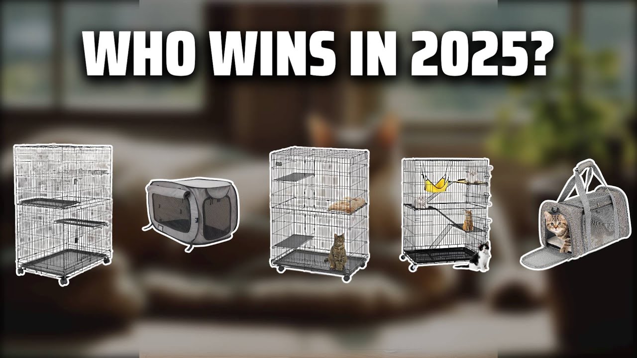 The Top 5 Best Cat Cages in 2025 - Must Watch Before Buying!