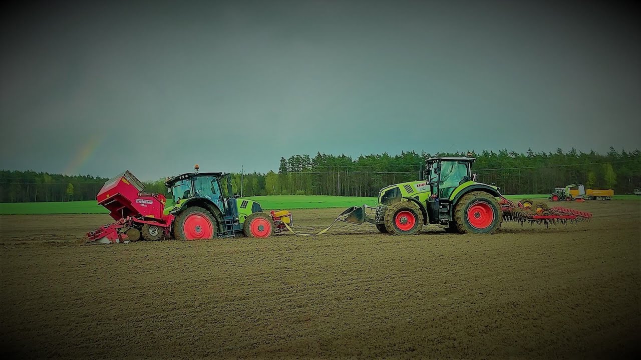 Sadzenie ziemniaków 2021