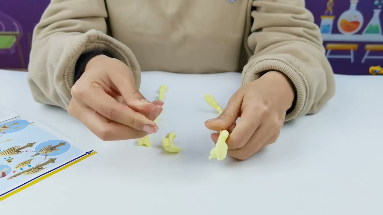Build a Body Tutorial