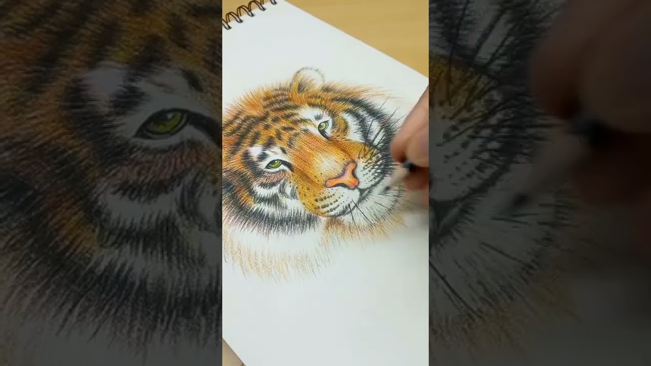 Menggambar Harimau