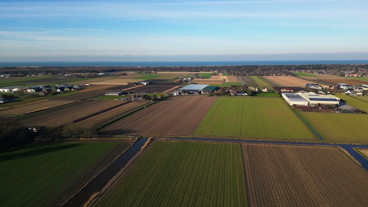 Noordwijkerhout