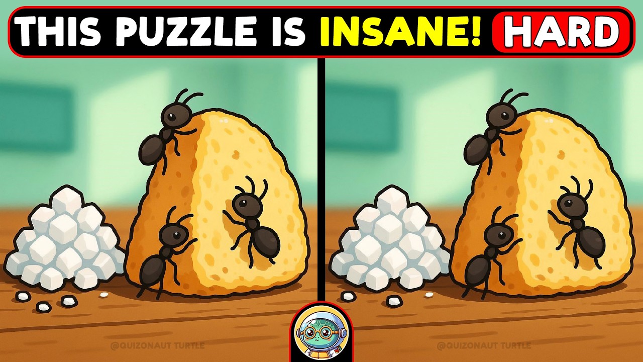 🐢🧩 Spot 3 Differences | Test Your Sharp Eyes 🧩🐢 | Quizonaut Turtle
