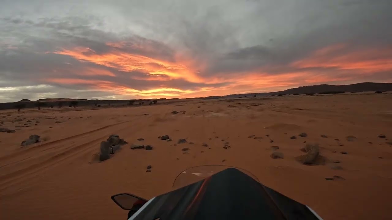Ramlia à Tafraout sidi Ali 7 26 12 2025