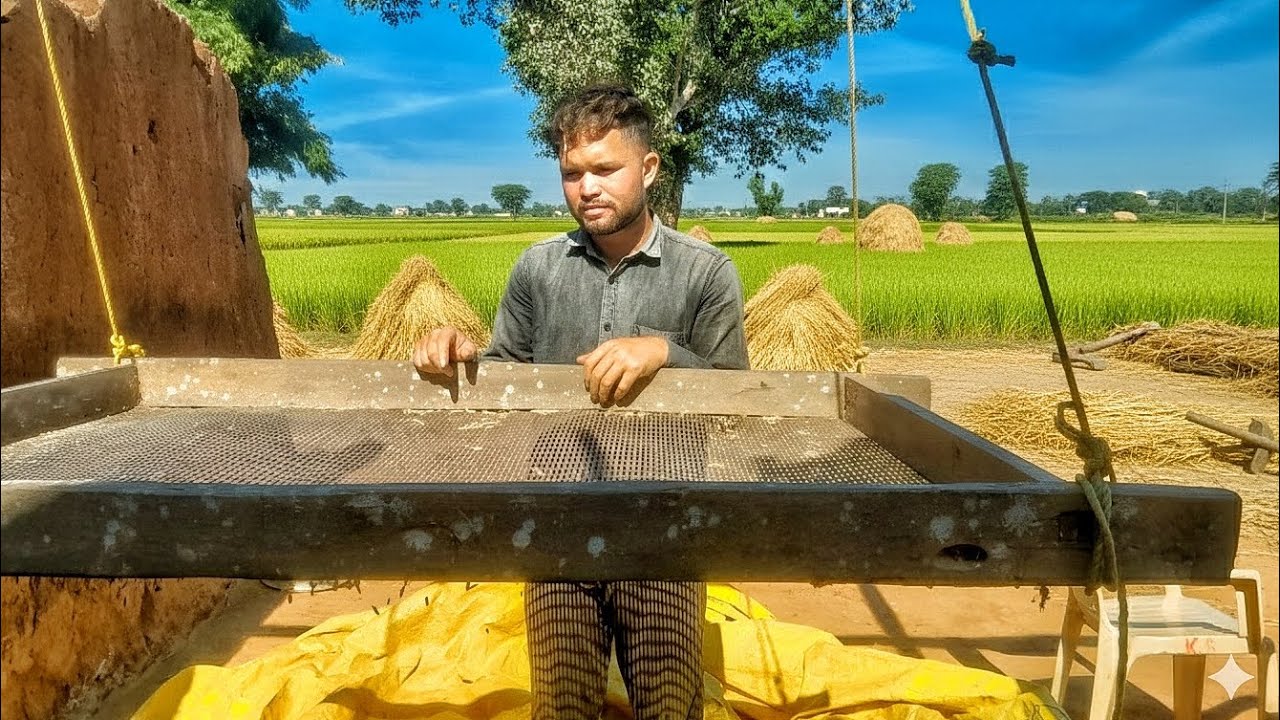 कोशिश पूरी थी..पर fail हो गया 🥲[journey of vidya]