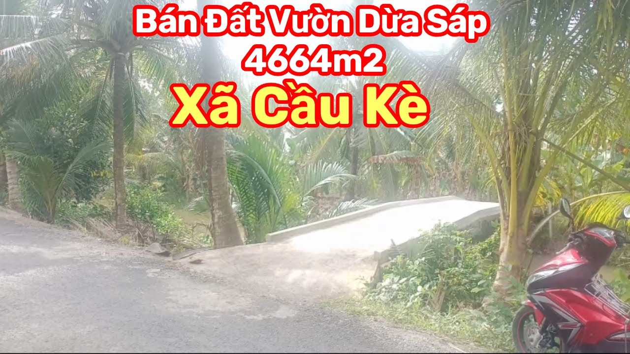Thành Hiếu Nhà Đất Cầu Kè, Vĩnh Long. Bán Đất Vườn Dừa Sáp DT 4664m2. Giá 1,3 tỷ. Xã Cầu Kè