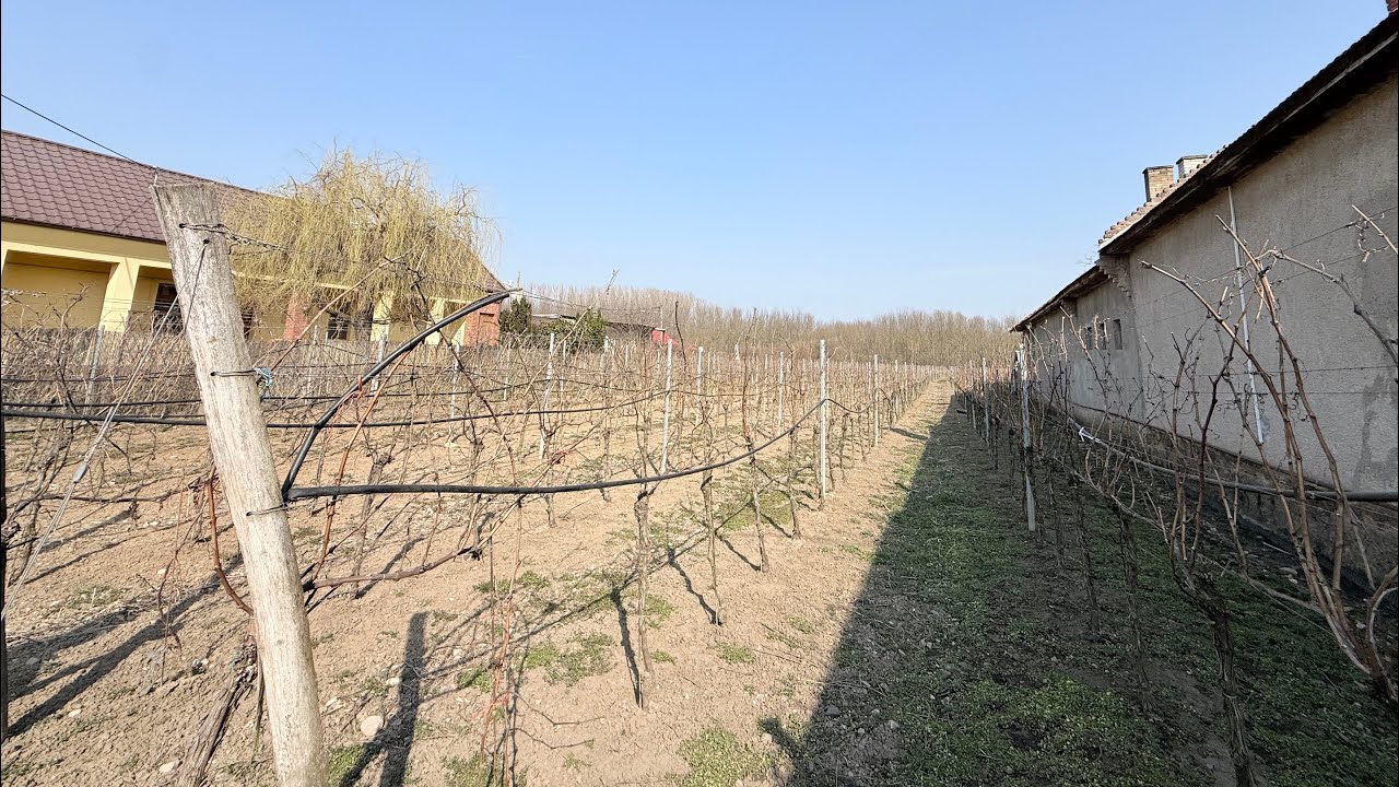 Predaj, krásny stav. pozemok-Želiezovce/Mikula(N216-14-FRAD)