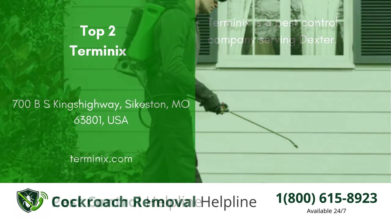 Top 3 Pest Control in Dexter
