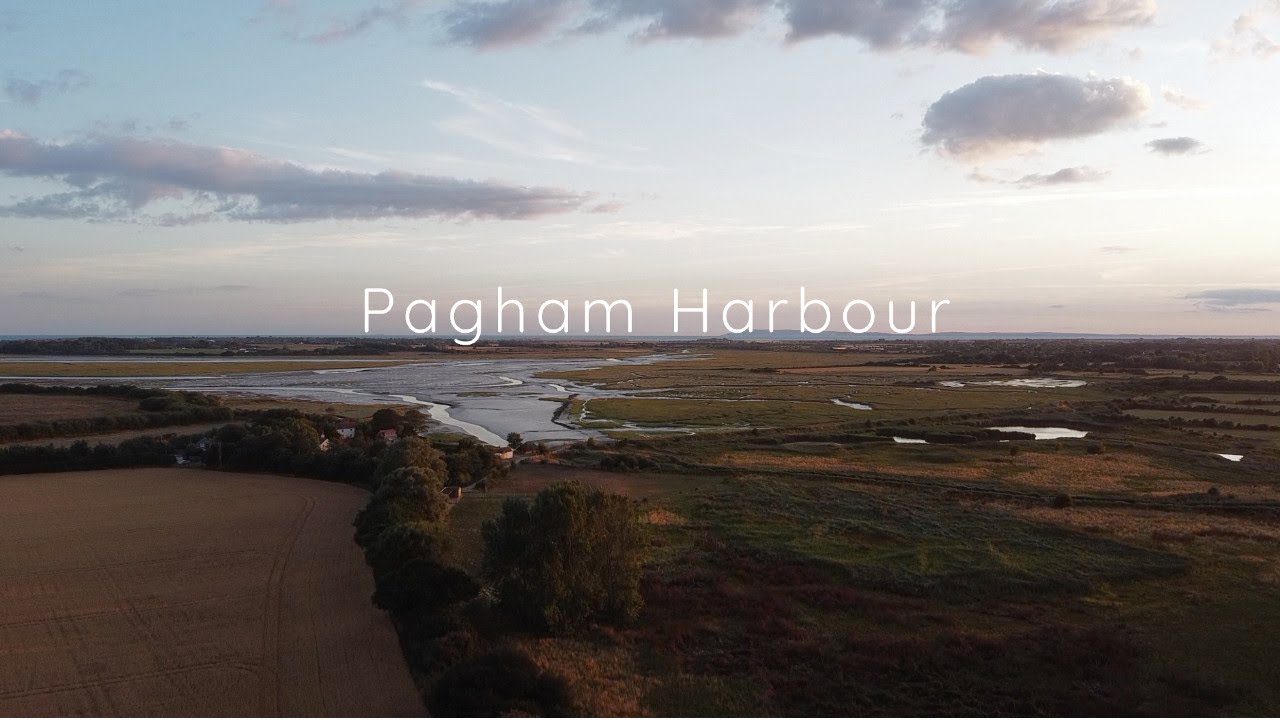 My Year at Pagham Harbour