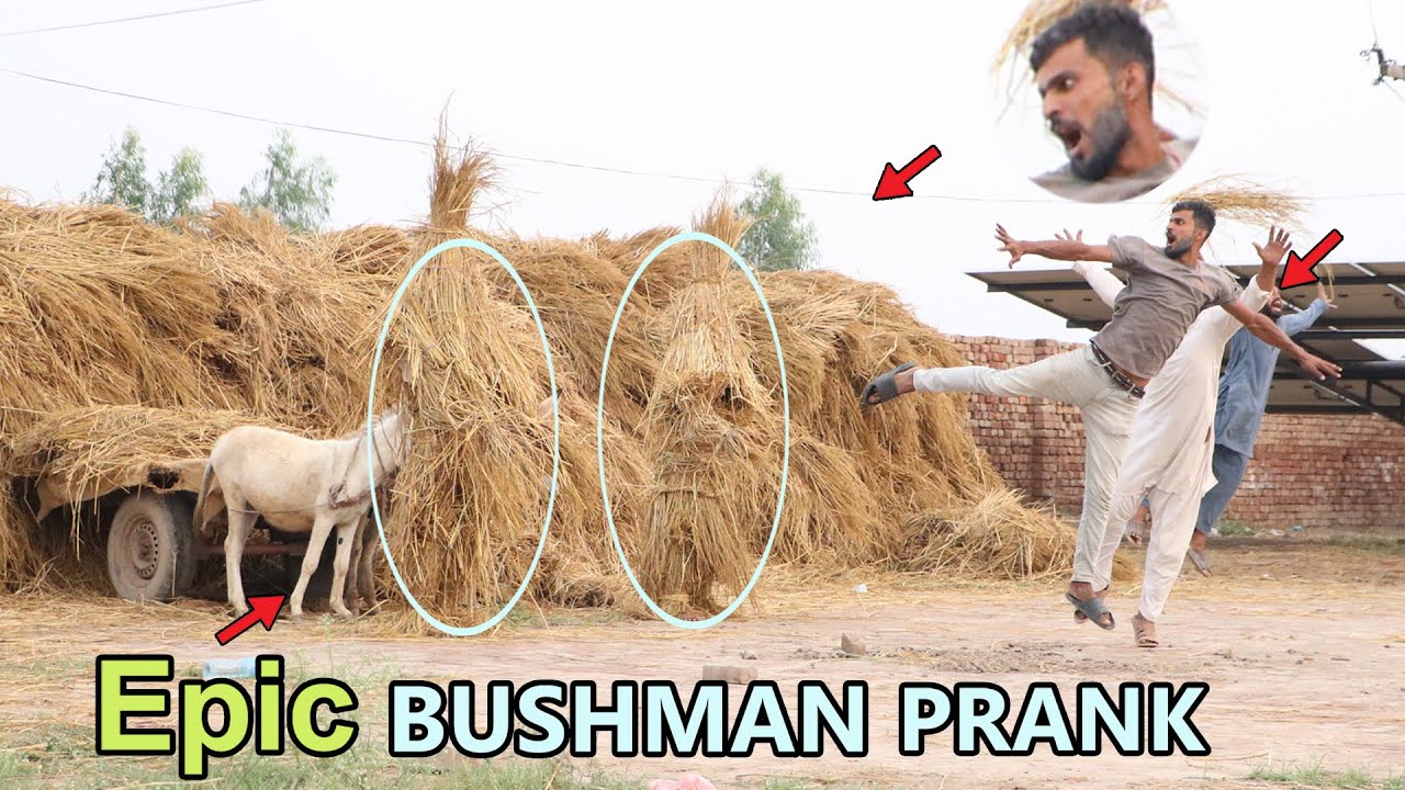 Unexpected Reactions to Epic BUSHMAN-Prank Fails Caught Live @PendoBrandTv