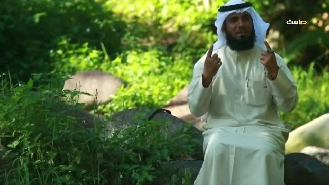 كليب ولما قسى قلبي | ابراهيم النقيب