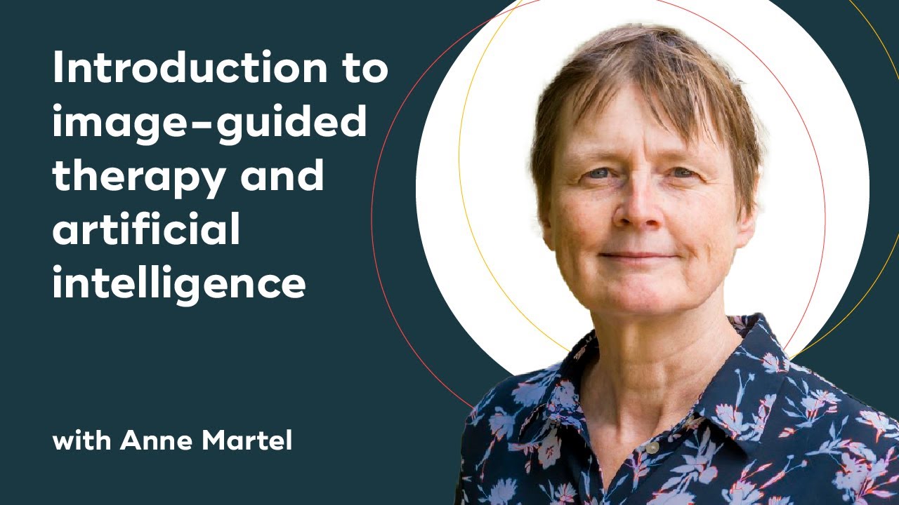 Introduction to image-guided therapy and artificial intelligence with Anne Martel