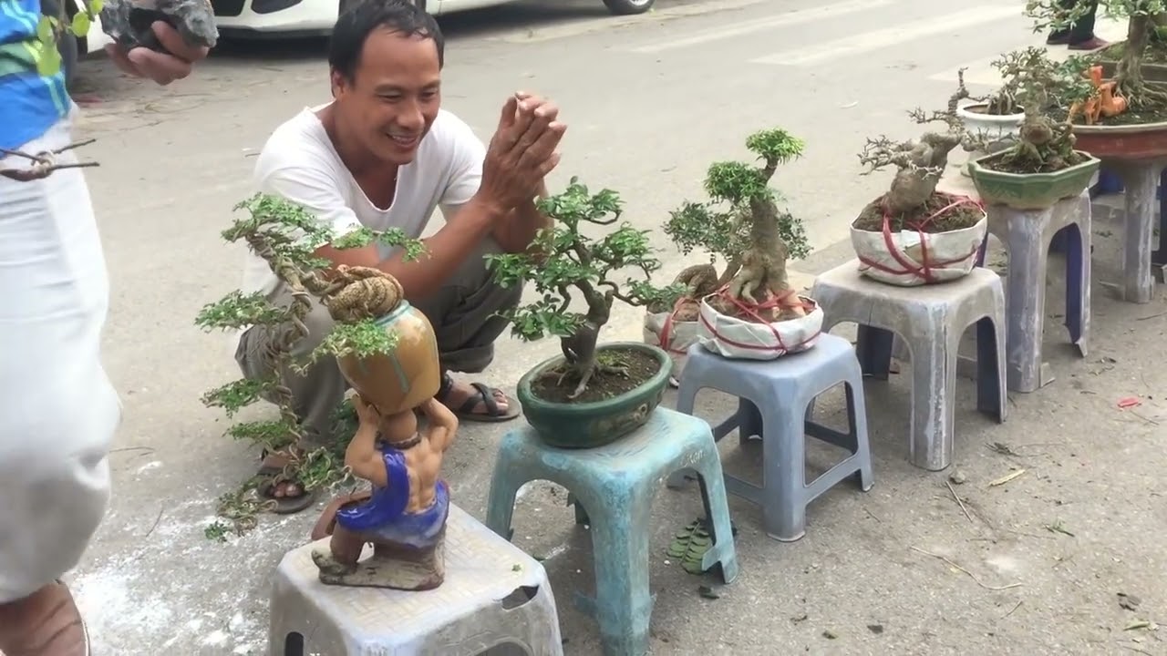 NHỚ CHỢ VẠN PHÚC - VÀI TRĂM NGHÌN VẪN MUA ĐƯỢC PHÔI KHỦNG CÁC BÁC NHÉ :))