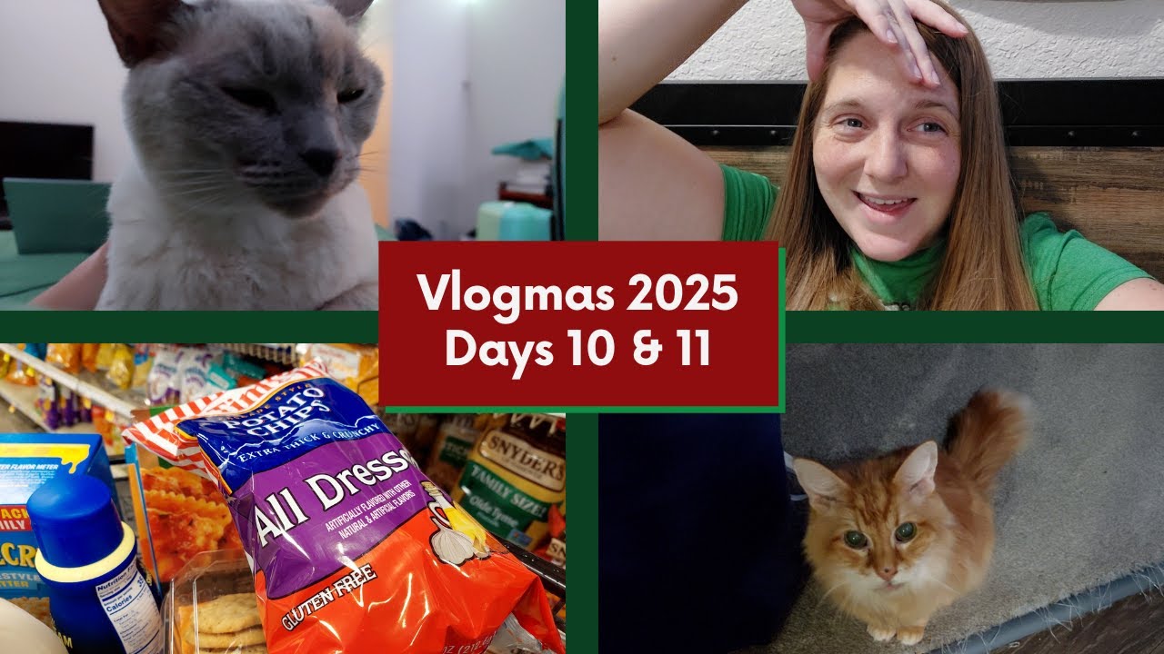 The One With Only 2 Hours of Sleep | Days 10 & 11 - Vlogmas 2025