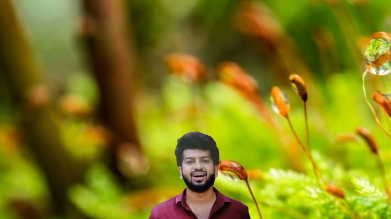 Pandian stores 2 | 17th to 19th jan  2026 - promo | Vijay Tv - Tamil prediction