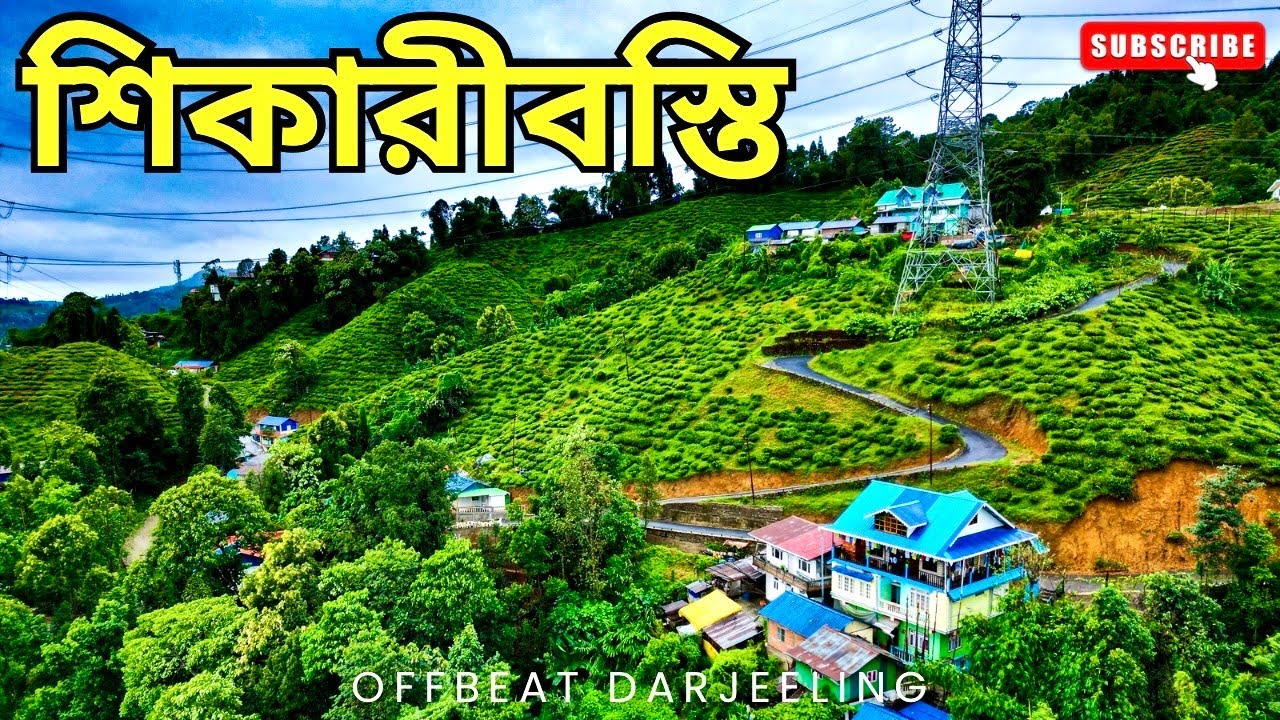 চা বাগানে ঘেরা নর্থ বেঙ্গলের একদম নতুন এই Offbeat জায়গা | Gyalsang Homestay | Offbeat Darjeeling