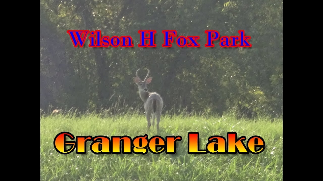 Driving Tour Of Wilson H Fox Park At Granger Lake | Camping At Granger Lake?