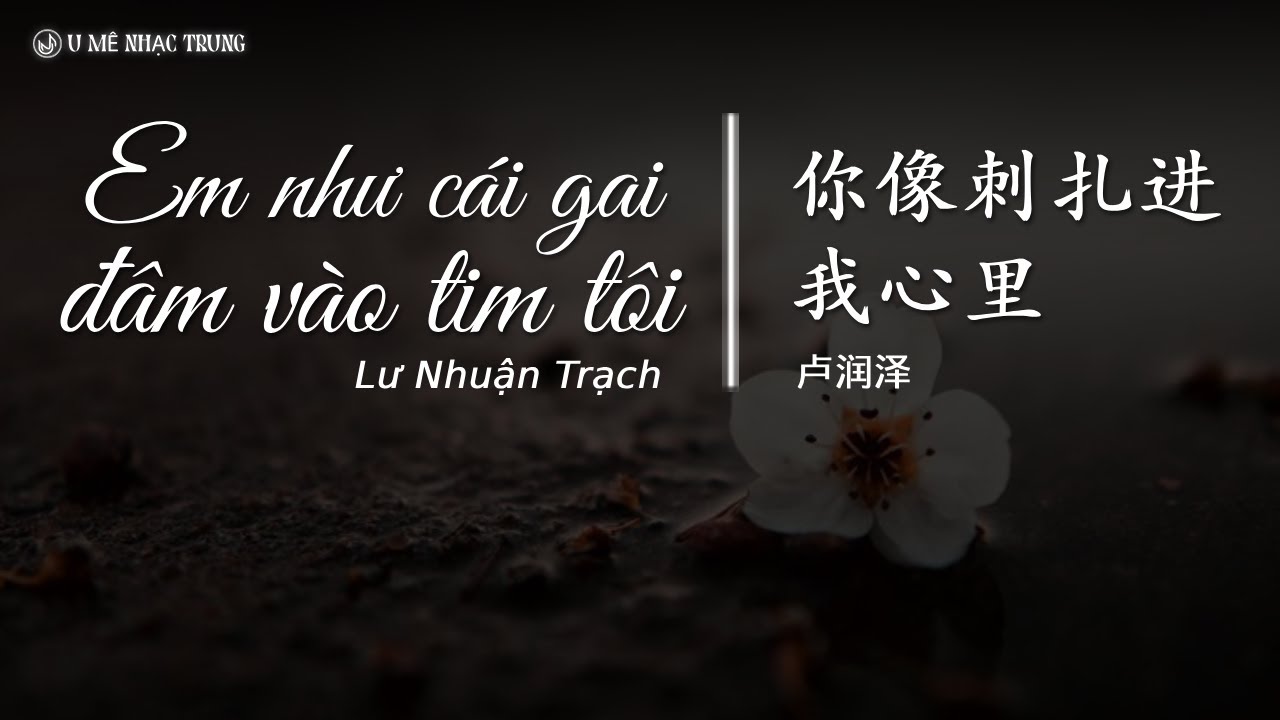 [Vietsub] Em như cái gai đâm vào tim tôi - Lư Nhuận Trạch / 你像刺扎进我心里 - 卢润泽 / Nhạc Trung tâm trạng