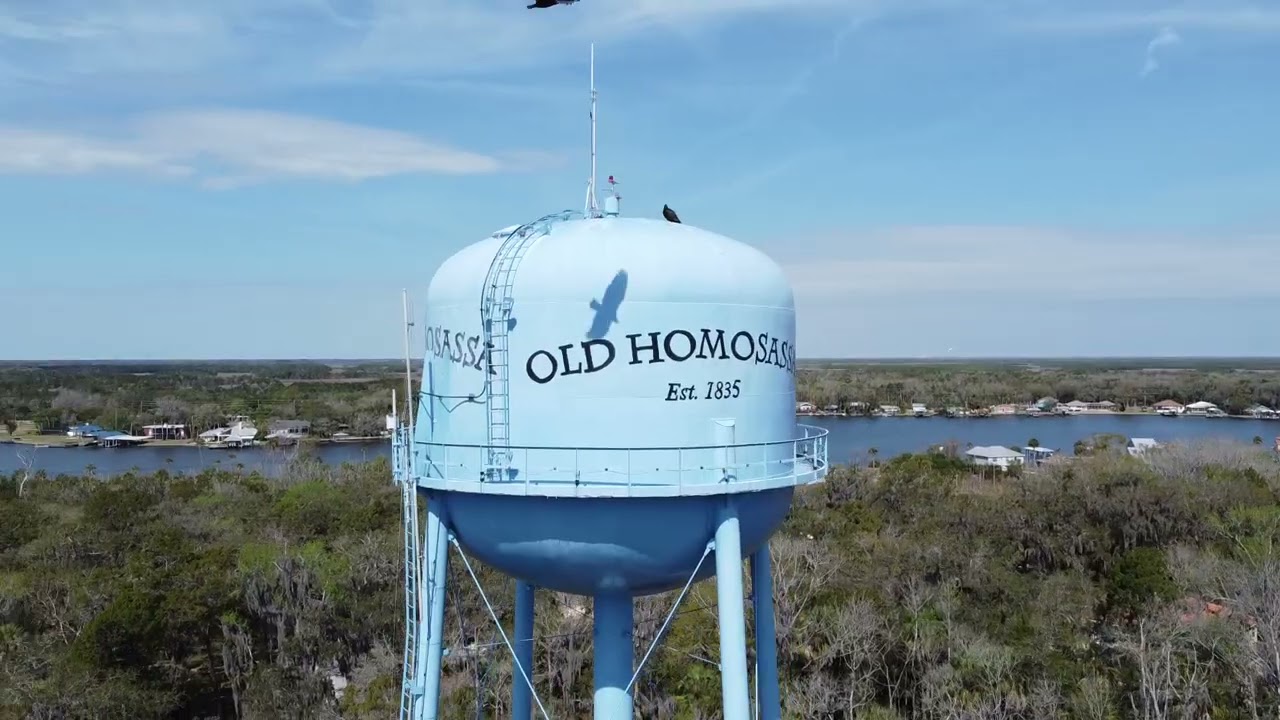 Old Homosassa Water Tower - Birds Attacked my Drone