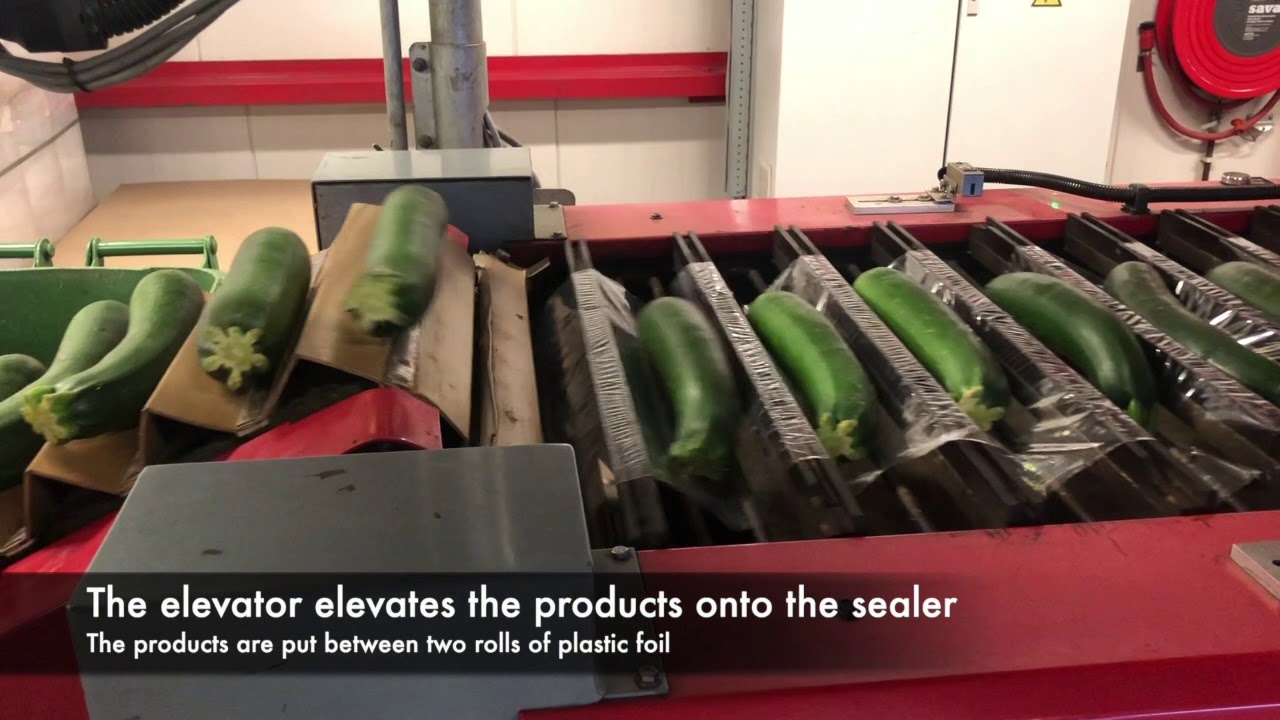 Aweta SK1 cucumber sealing machine