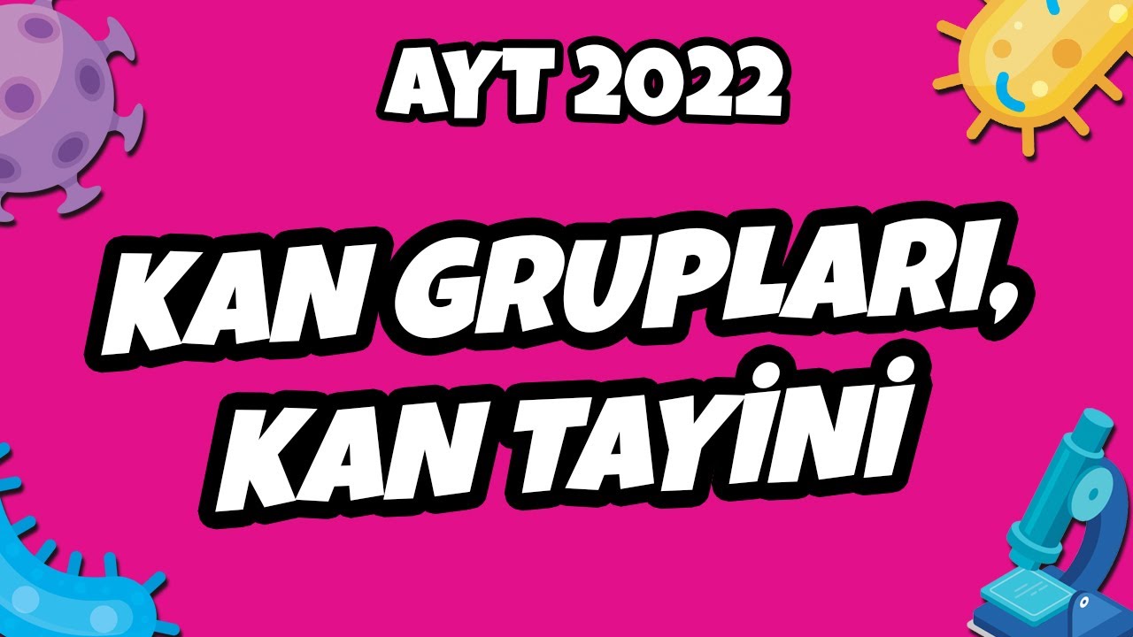 Kan Grupları, Kan Tayini | AYT Biyoloji 2022 #hedefekoş