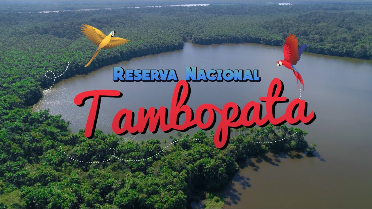 5 DATOS SOBRE LA RESERVA NACIONAL TAMBOPATA
