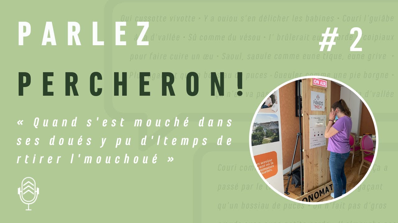 [Parlez percheron! ] Ép 2: « Quand s'est mouché dans ses doués y pu d'ltemps de rtirer l'mouchoué »