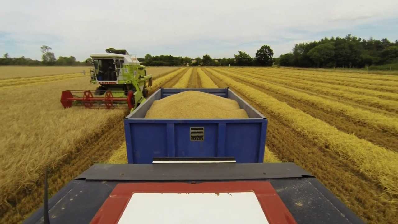 2015/08/02 - Harvesting Winter Barley - Small-scale Arable Farming
