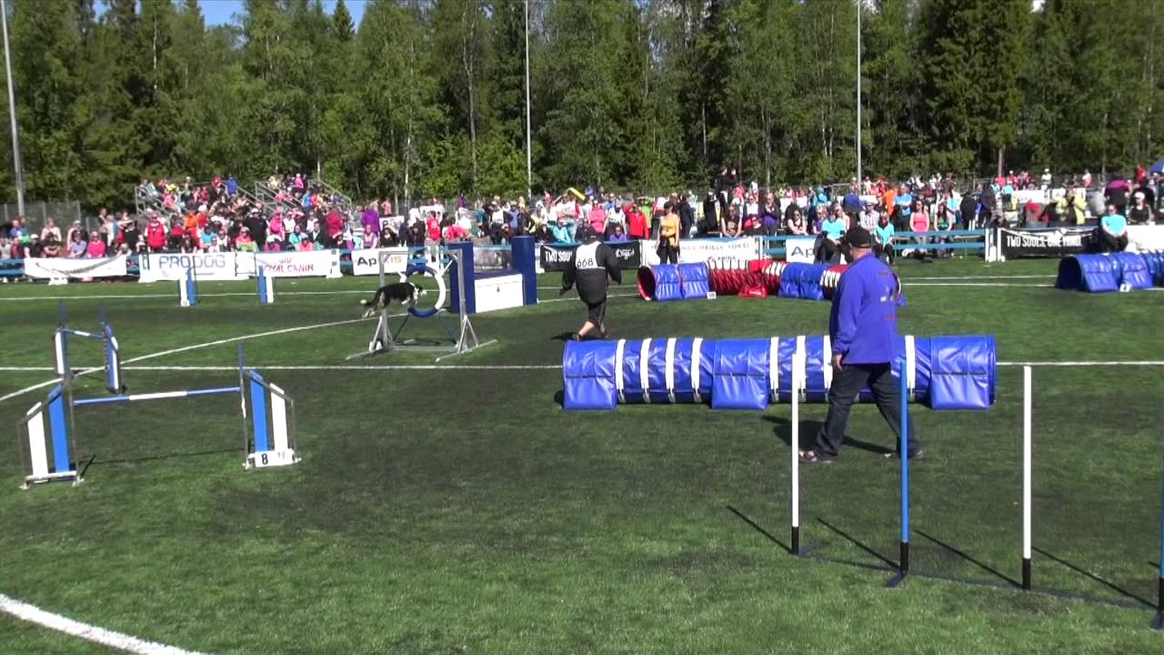 Jaakko Suoknuuti & Chi / Finnish Championships jumping
