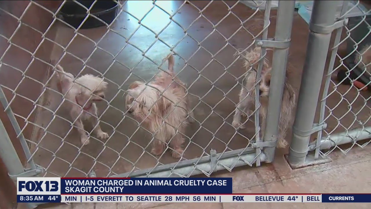 Skagit County woman charged in animal cruelty case | FOX 13 Seattle