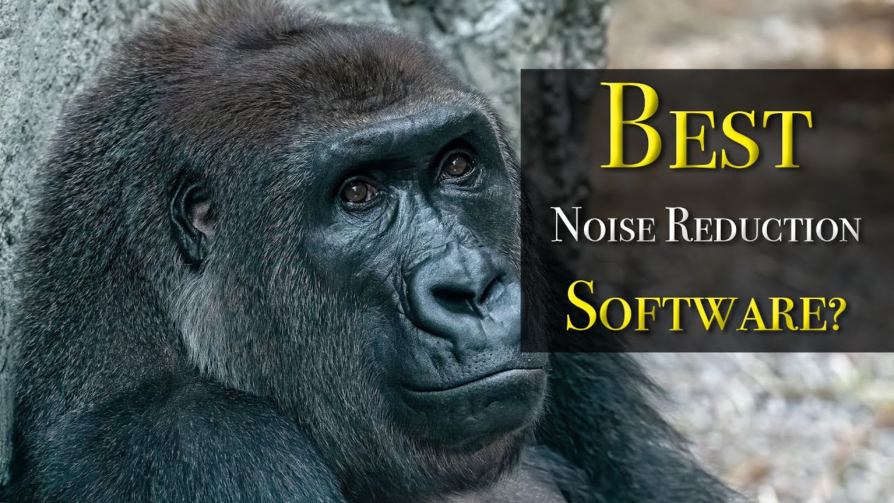 The BEST NOISE REDUCTION Software - DENOISE AI