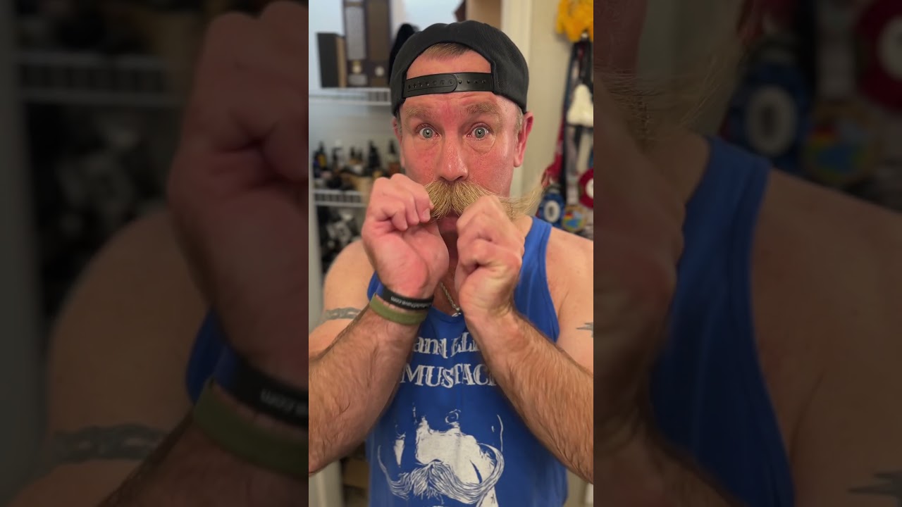 How I do mornings, maybe&hellip; #bobandelliothismustache #mustache