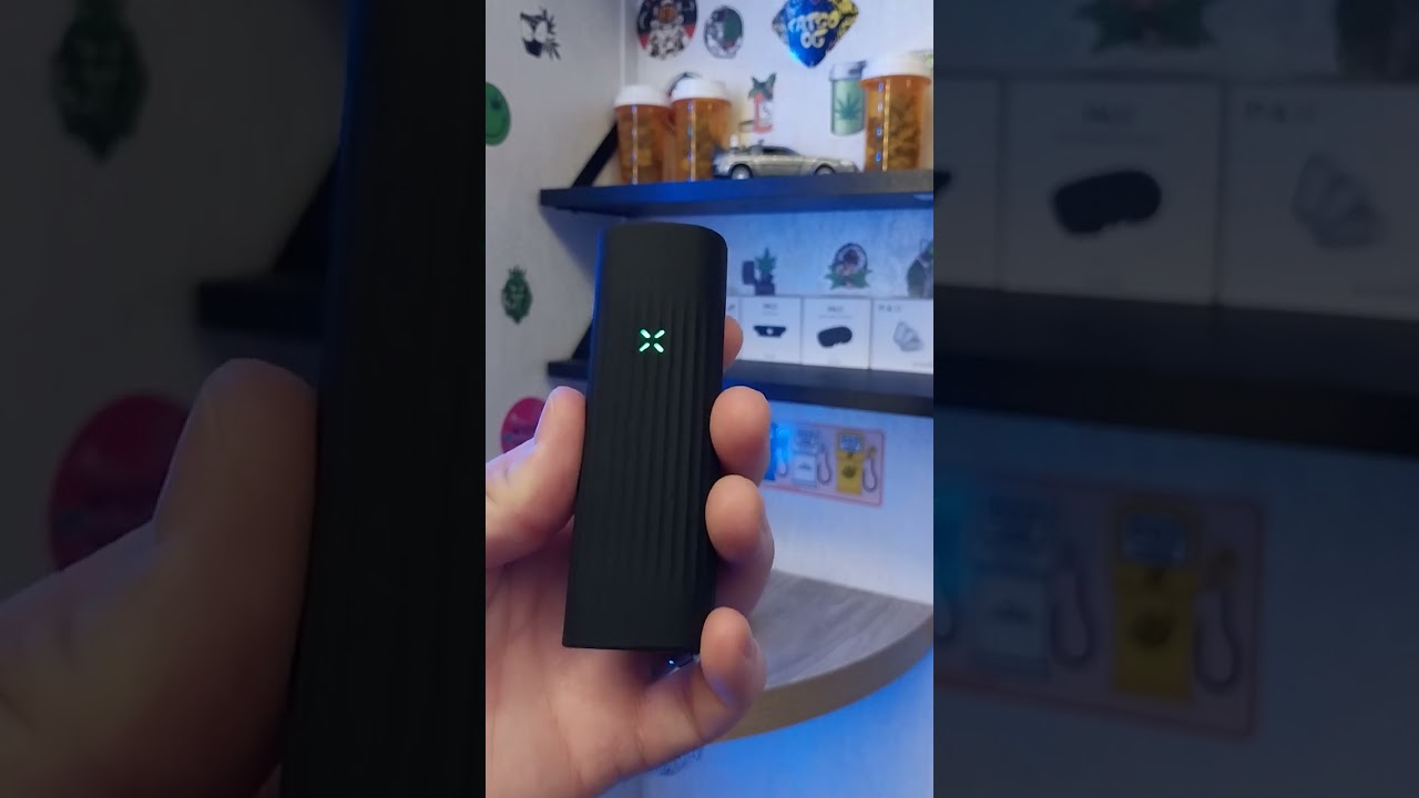 Strain of the day (Citral Glue)