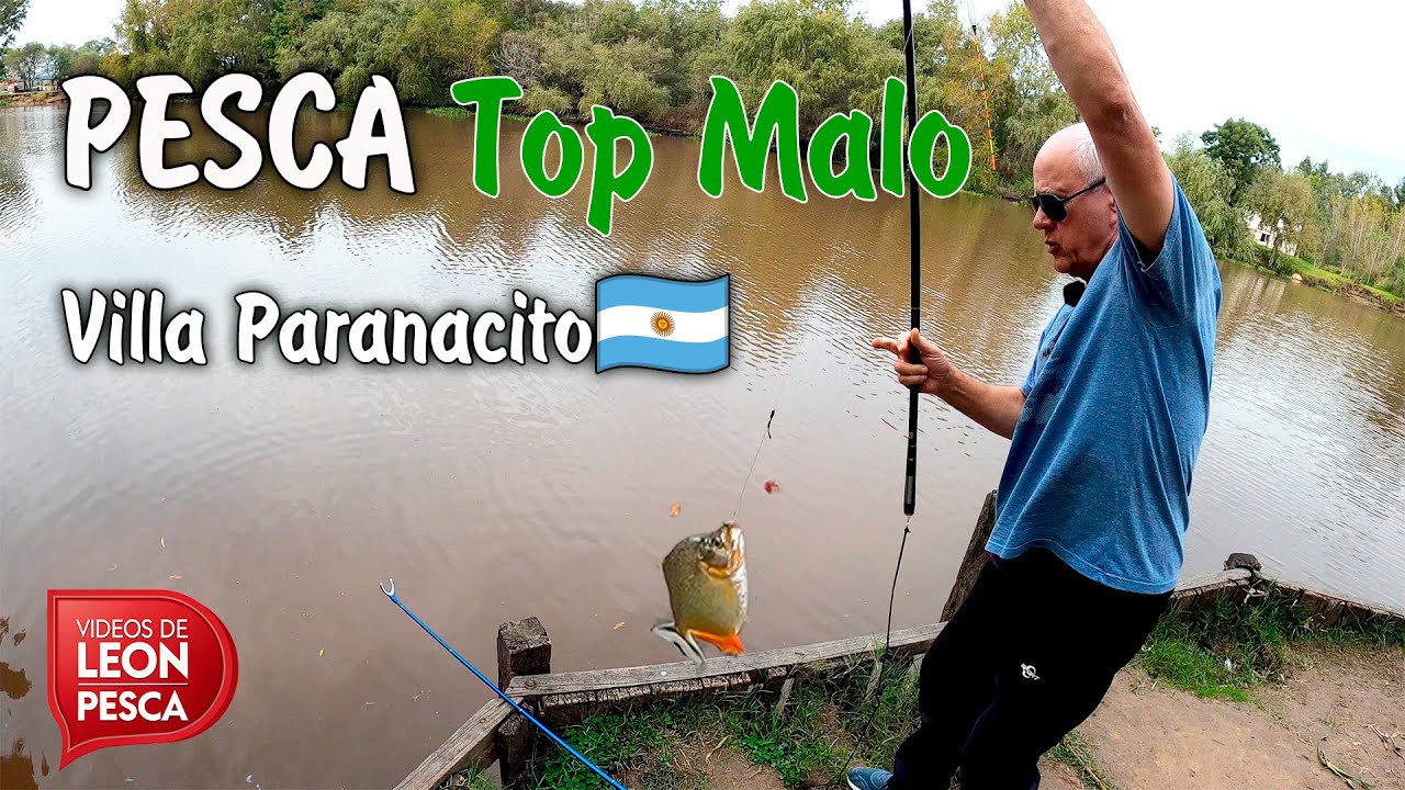 🎣 &iexcl;INCRE&Iacute;BLE D&iacute;a de Pesca en el PARA&Iacute;SO Camping Top Malo! 🏕️🔥